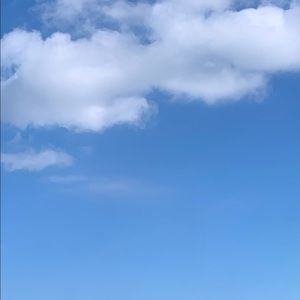 Meet your Posher, Ronnie